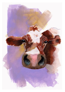 VACHE FRIBOURGEOISE / gouache sur papier